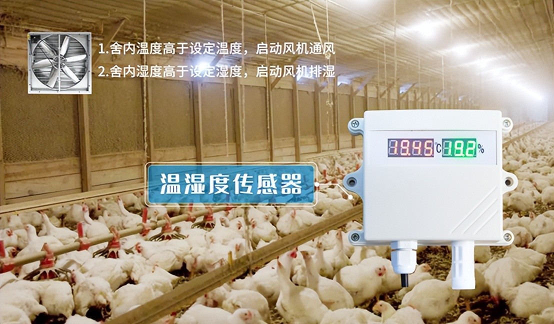 sunbet申慱官网,sunbet申搏官方网站温湿度采集器