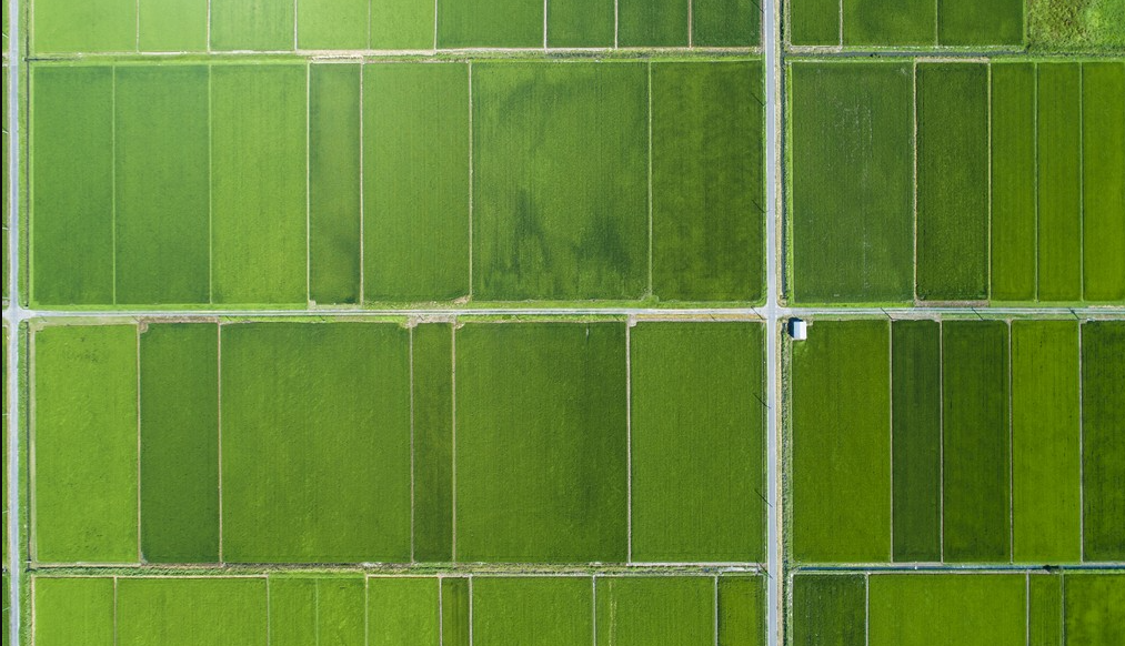 高标准农田(数字化、标准化)