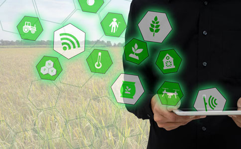 智慧农业是什么，以及它如何改变农业