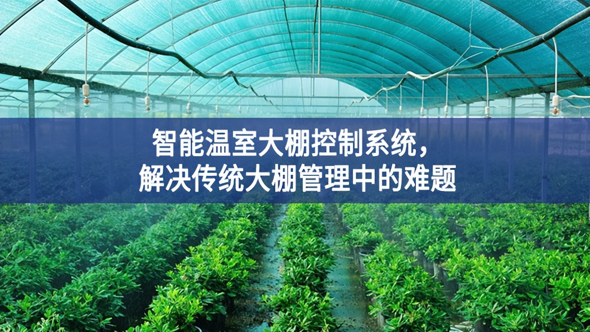 智能温室大棚控制系统，解决传统大棚管理中的难题