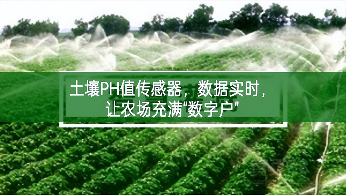 土壤PH值传感器，数据实时，让农场充满"数字户"