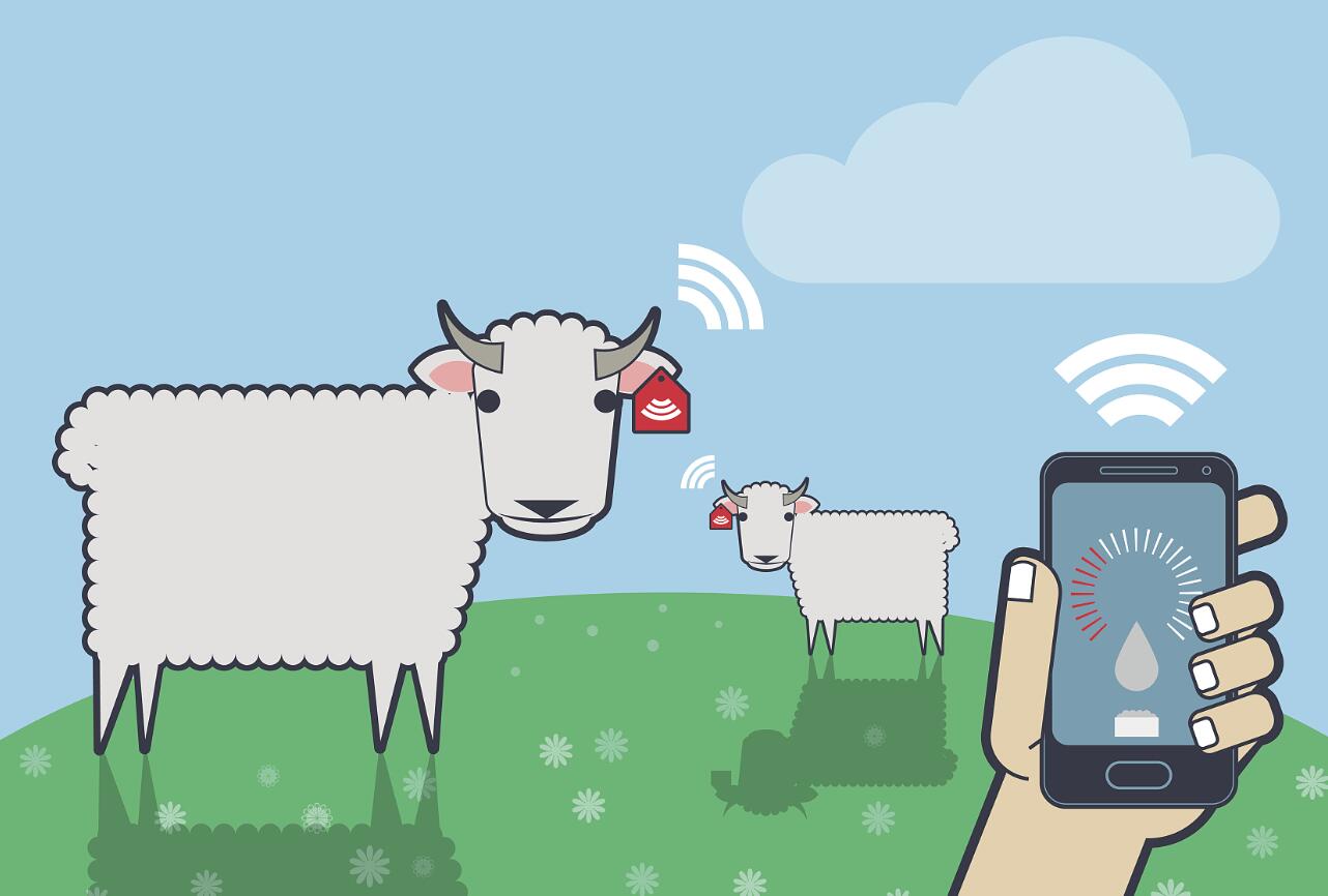 物联网如何保证食品安全？