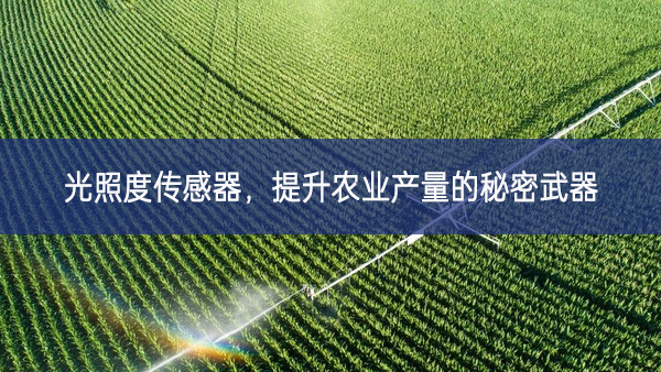 光照度传感器，提升农业产量的秘密武器