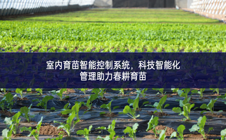 室内育苗智能控制系统，科技智能化管理助力春耕育苗