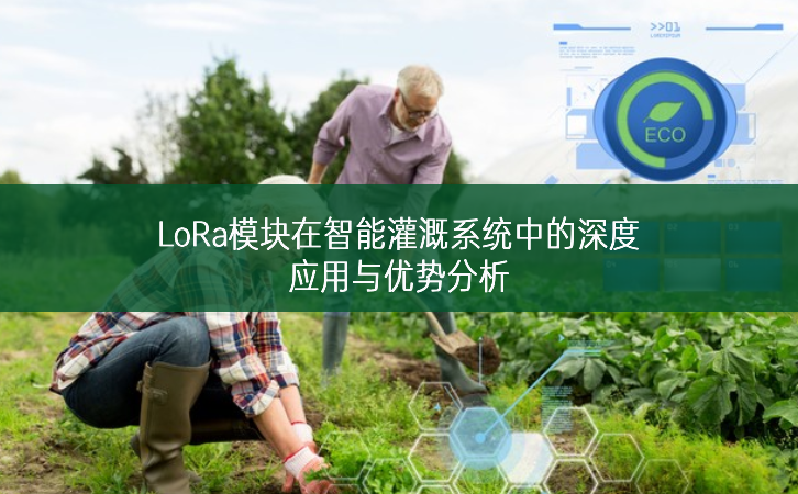 LoRa？樵谥悄芄喔认低持械纳疃扔τ糜胗攀品治