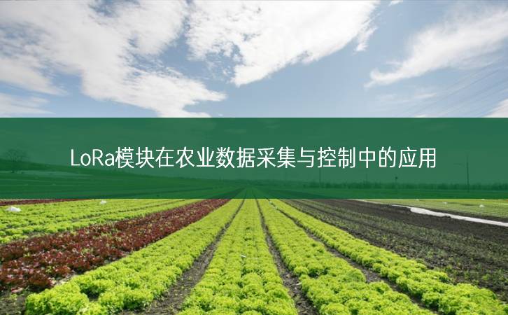 LoRa？樵谂┮凳莶杉肟刂浦械挠τ