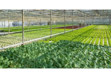 2022年现阶段智能温室发展趋势如何？