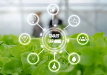 智慧农业物联网的未来在哪里？