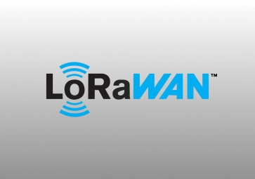 LoRa？榈挠攀朴胗τ