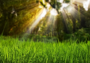 什么是光照度传感器？