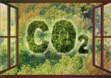 sunbet申慱官网,sunbet申搏官方网站：二氧化碳浓度达到了多少会危害人体的健康？