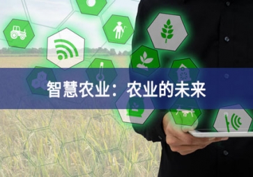 智慧农业：农业的未来