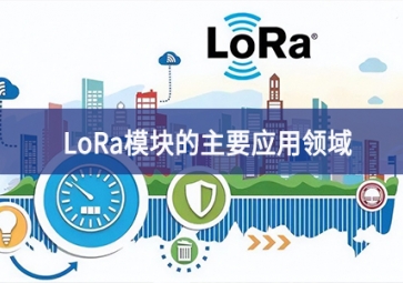 LoRa？榈闹饕τ昧煊