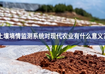土壤墒情监测系统对现代农业有什么意义？