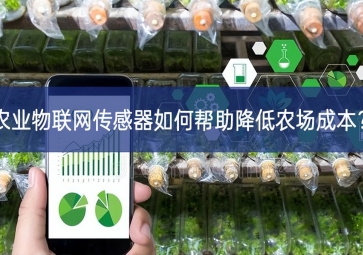 农业物联网传感器如何帮助降低农场成本？