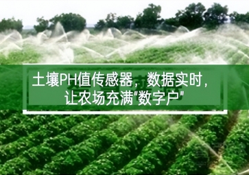 土壤PH值传感器，数据实时，让农场充满"数字户"