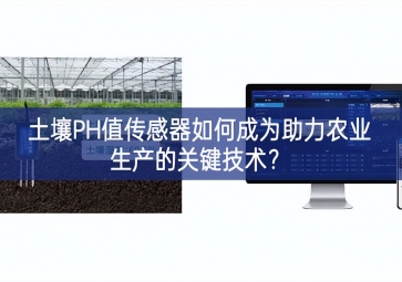 土壤PH值传感器如何成为助力农业生产的关键技术？