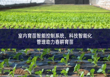 室内育苗智能控制系统，科技智能化管理助力春耕育苗
