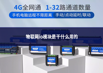 物联网IO？槭歉墒裁从玫