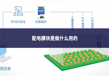 配电？槭亲鍪裁从玫