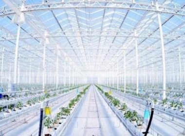 智能农业自控系统