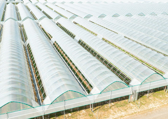 薄膜连栋温室大棚监控系统