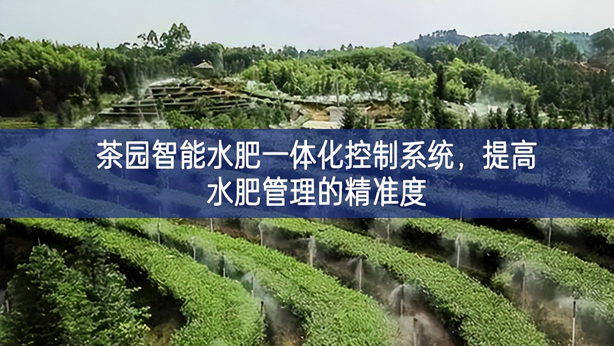 茶园智能水肥一体化控制系统，提高水肥管理的精准度