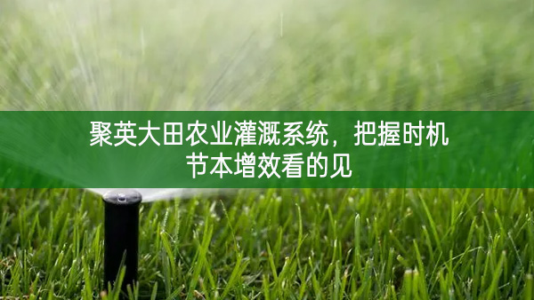 聚英大田农业灌溉系统，把握时机节本增效看的见