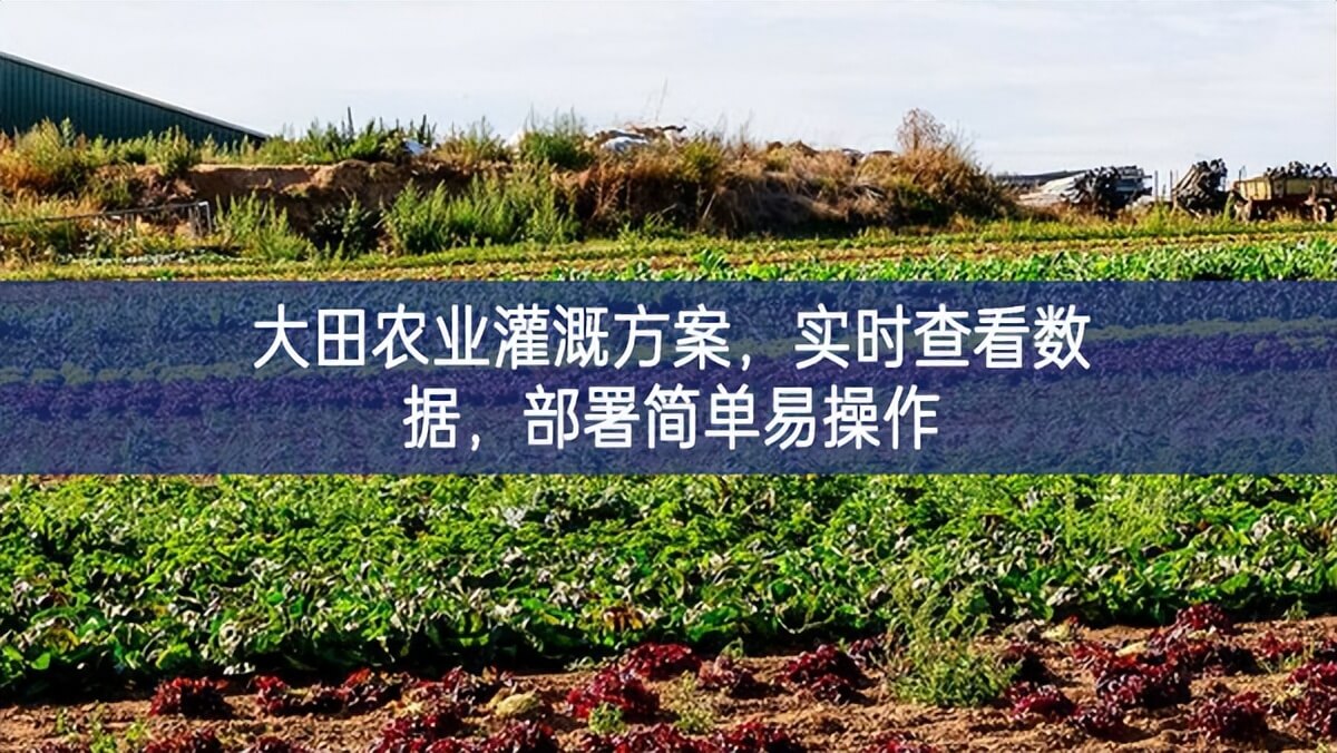 大田农业灌溉方案，实时查看数据，部署简单易操作