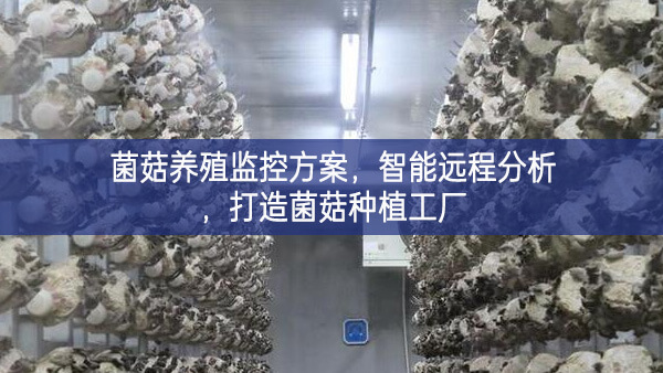 菌菇养殖监控方案，智能远程分析，打造菌菇种植工厂
