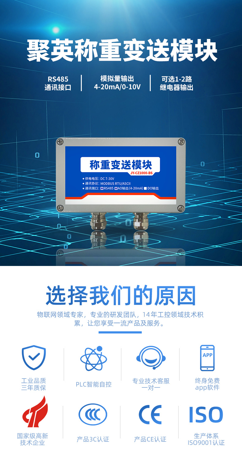  CZ1000-BS称重变送？