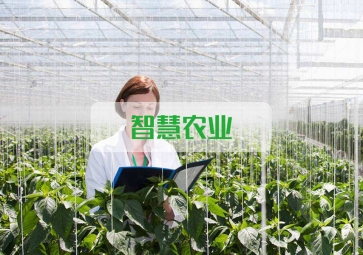 春雷一声 惊蛰到，聚英智慧农业系统助力农业春耕