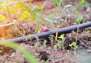 节水灌溉系统解决方案，用农业物联网技术，科学灌溉
