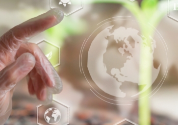 提高员工生产力，减少人力劳动的物联网解决方案