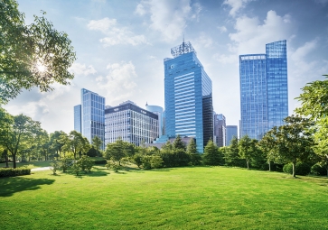 国际能源署：能源效率提高对企业和气候来说是一种双赢