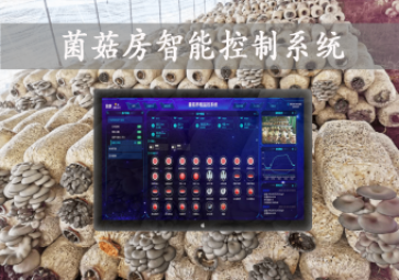 「智慧养殖」菌菇房智能控制系统，智能控温，助力大棚食用菌种植