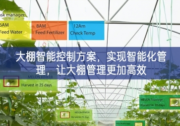 「智慧农业」大棚智能控制方案,实现智能化管理，让大棚管理更加高效 