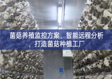 「智慧养殖」菌菇养殖监控方案，智能远程分析，打造菌菇种植工厂