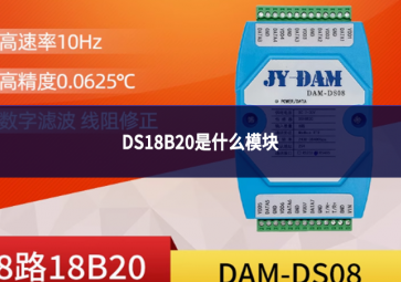 DS18B20是什么？